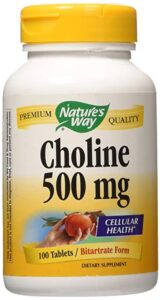 the best choline supplements