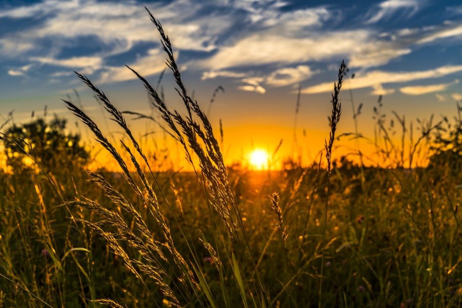 does vitamin D prevent covid-19, vitamin D and covid-19, vitamin D and coronavirus