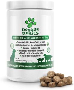 glucosamine chondroitin for dogs