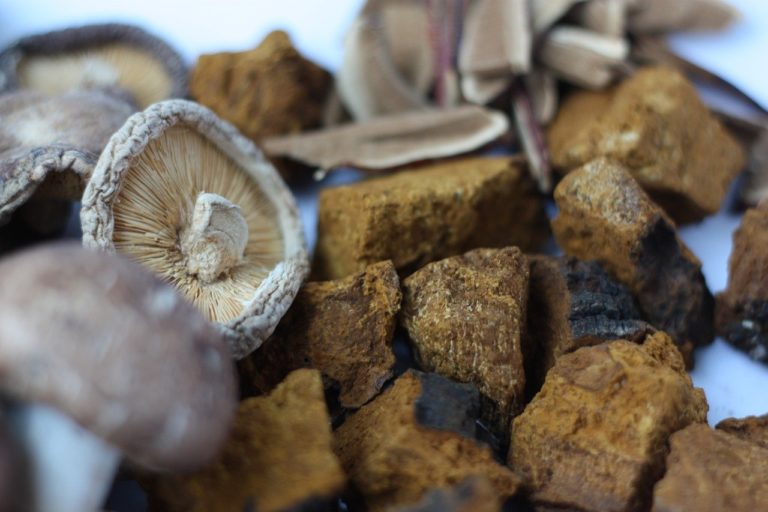 Complete Guide to Chaga Tea