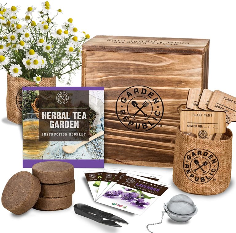 wellness gifts, healthy gifts, gifts for health, indoor herb garden