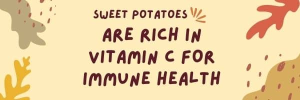 what are the benefits of sweet potatoes