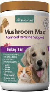 turkey tail mushroom benefits for dogs