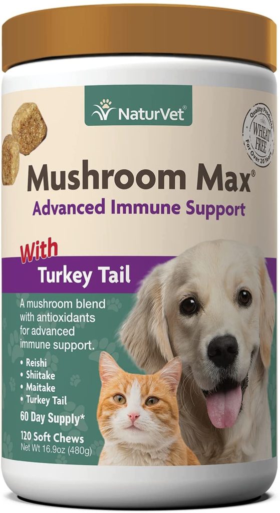 Turkey Tail Mushroom Benefits for Dogs - The Top Supplements