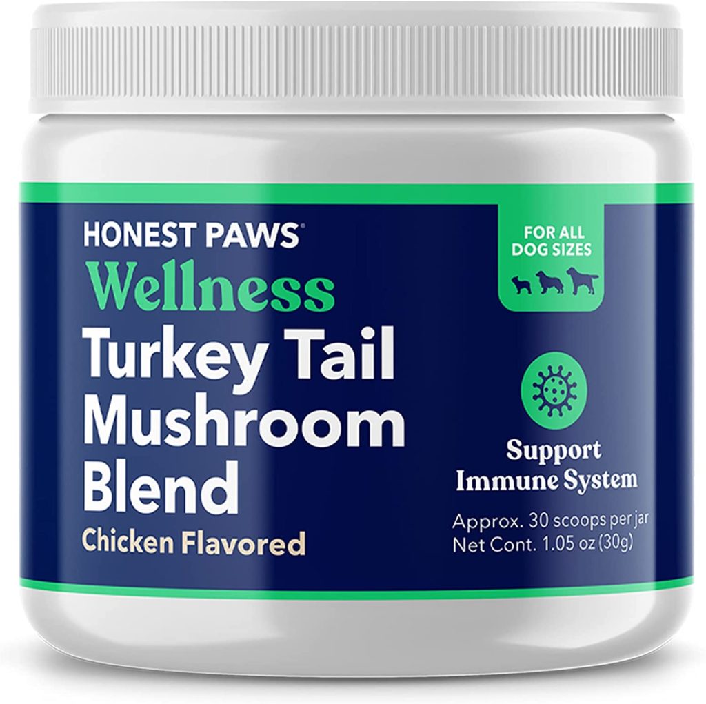 turkey tail mushroom benefits for dogs