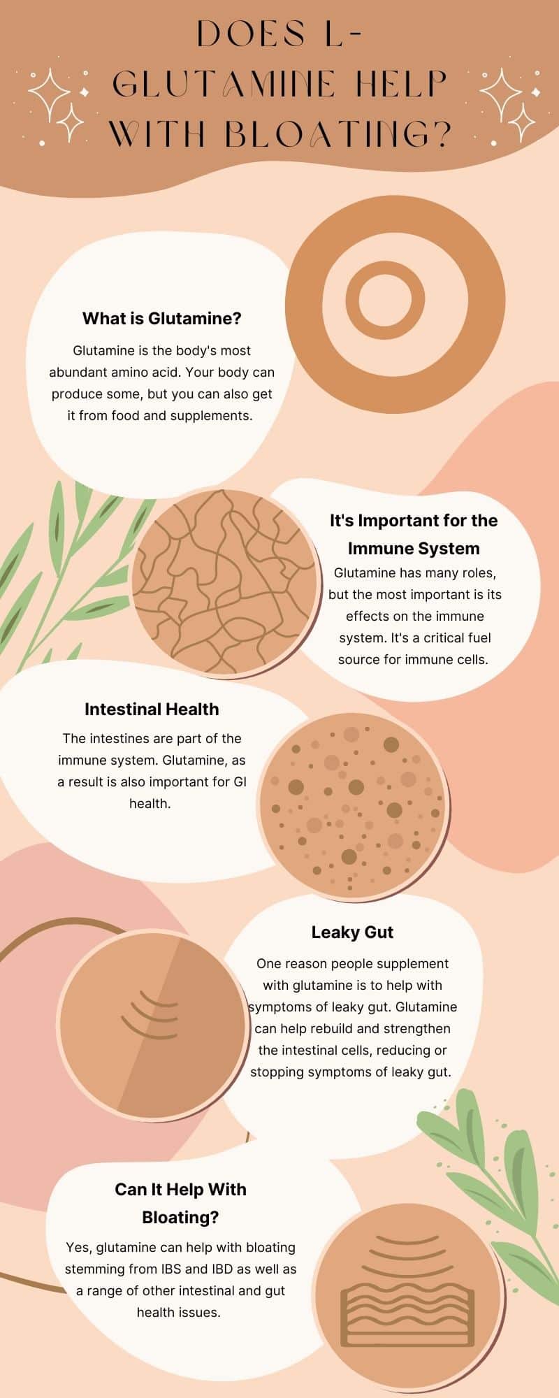 Does L Glutamine Help with Bloating? The Top Supplements