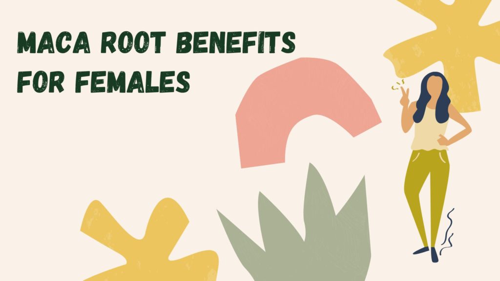maca root benefits for females
