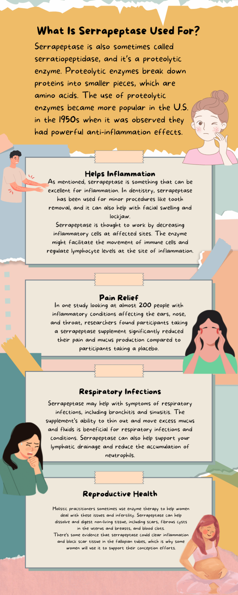 what is serrapeptase used for
