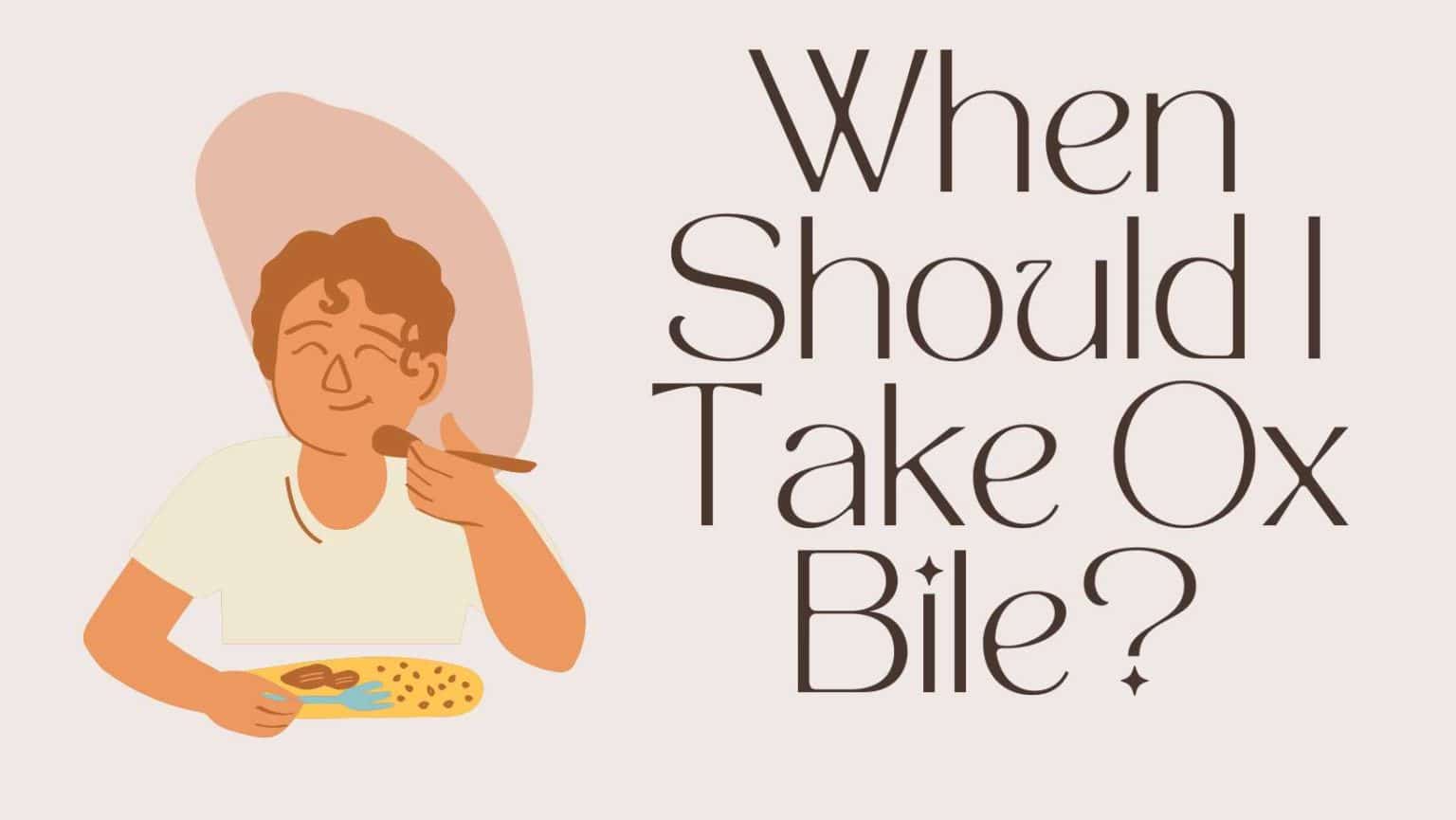 When Should I Take Ox Bile? The Top Supplements