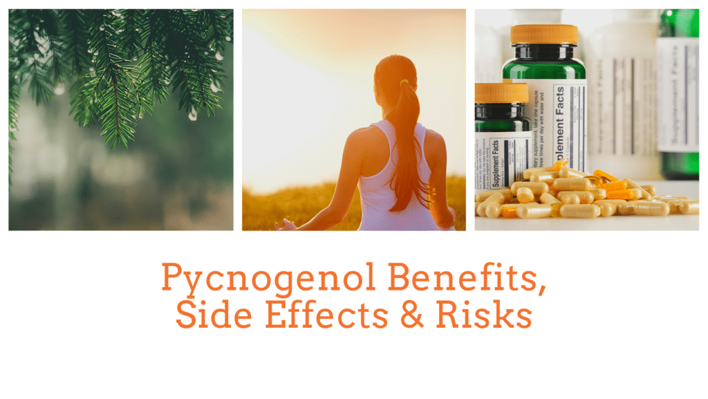 A guide to the benefits of pycnogenol supplements for heart health, brain health and more.